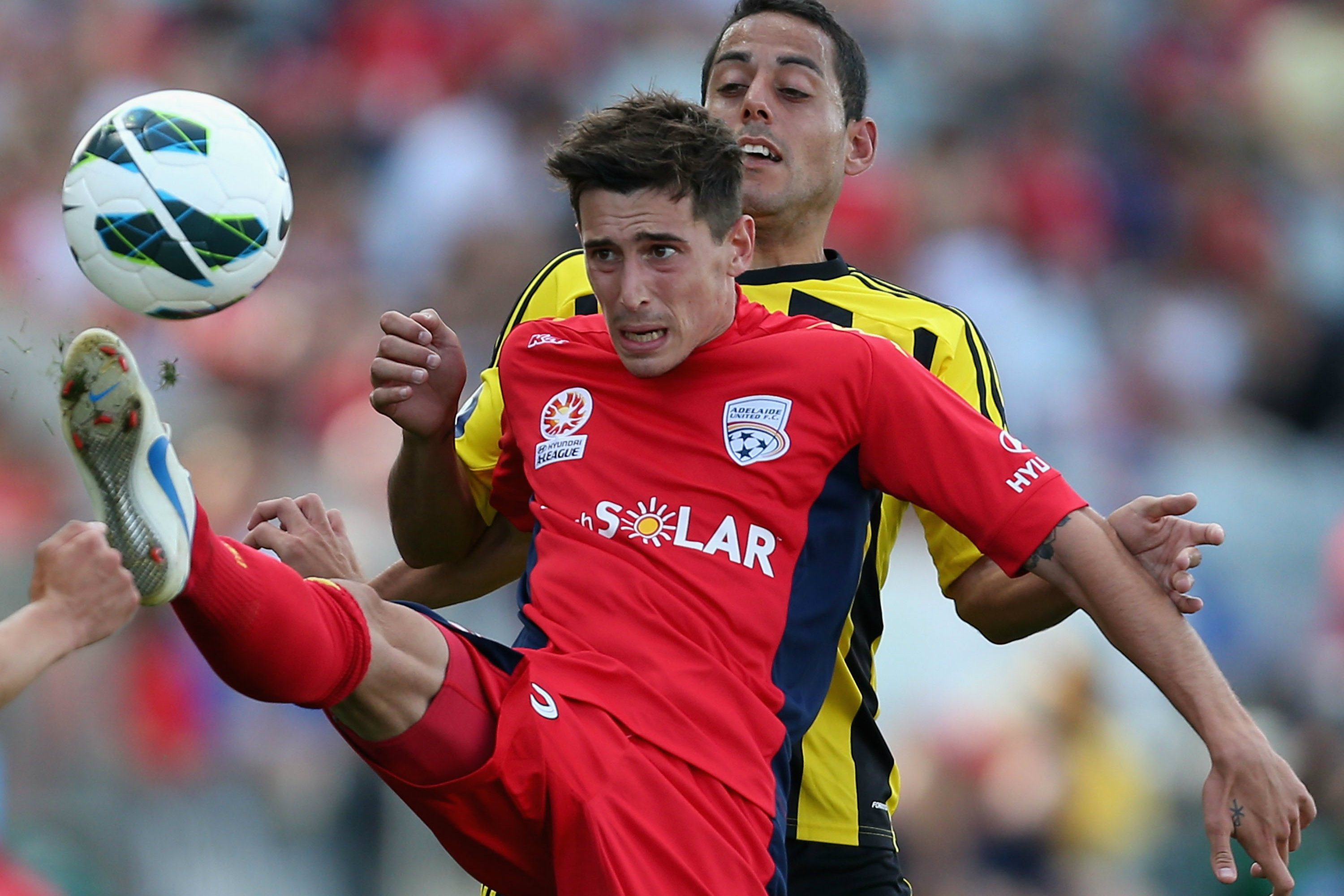 Evan Kostopoulos in action for Adelaide United